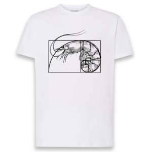 CAMISETA «LANGOSTINO FIBONACCI»