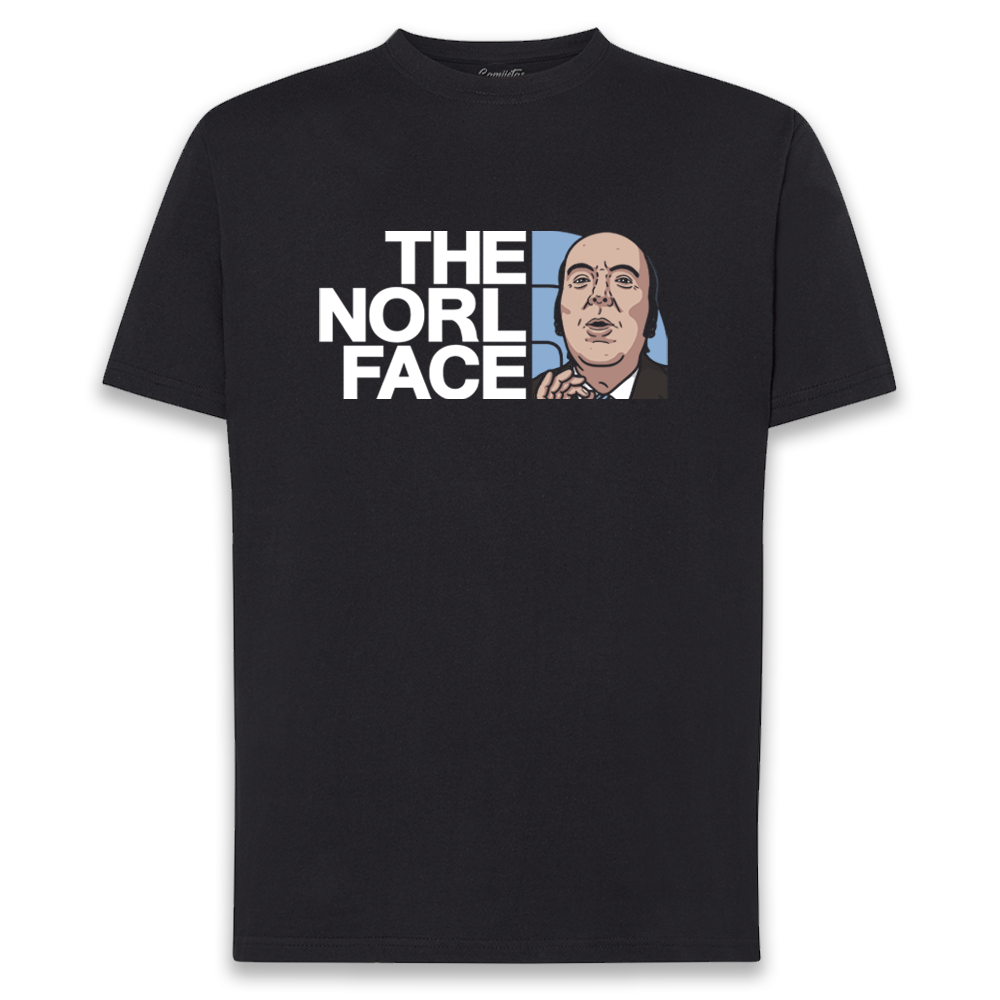 CAMISETA «THE NORL FACE»