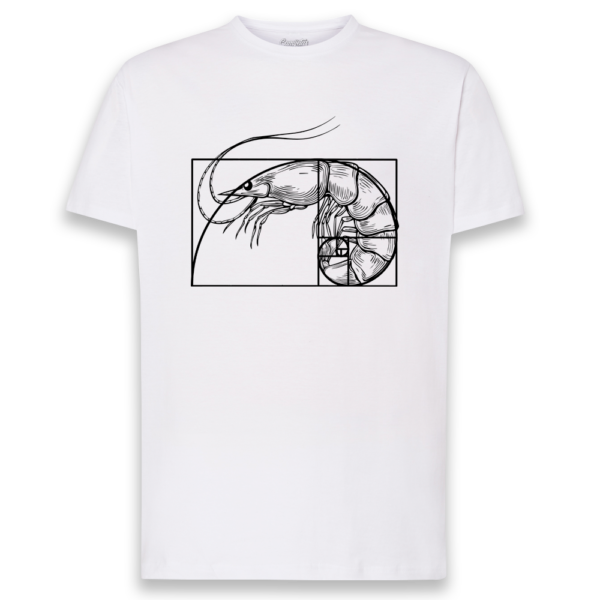 CAMISETA «LANGOSTINO FIBONACCI»
