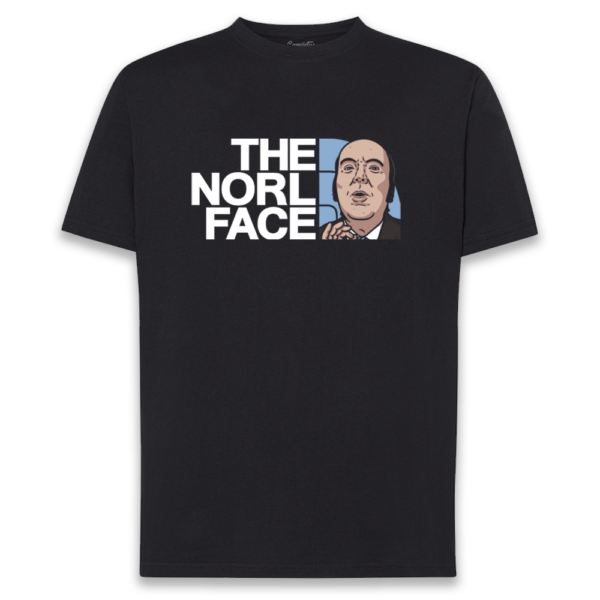 CAMISETA «THE NORL FACE»